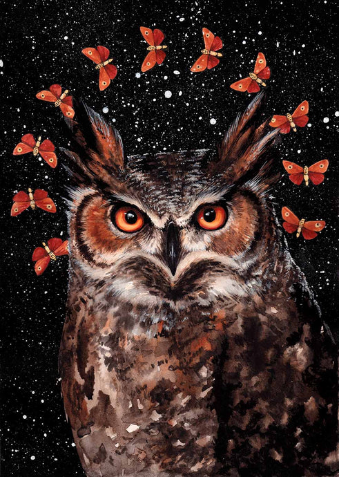 Owl