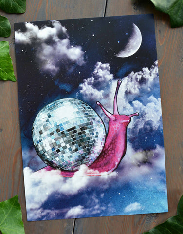 Disco Snail Signed Print