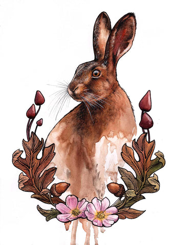 Hare Postcard