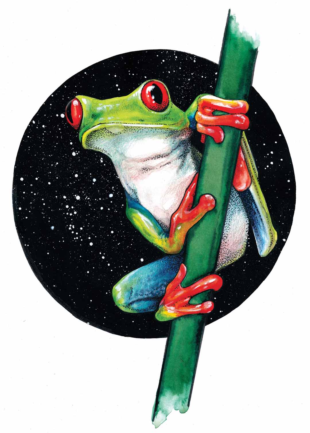 Tree Frog Signed Print
