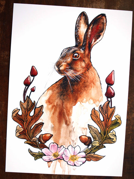 Hare Signed Print