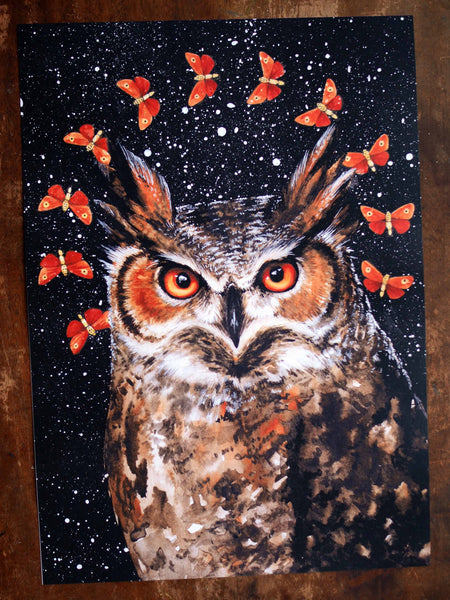 Owl Signed Print