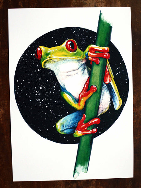 Tree Frog Signed Print